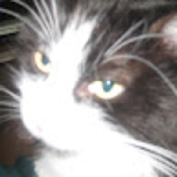 Meet your Posher, Brigida - Picture 1 of 1